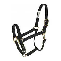  - Halters